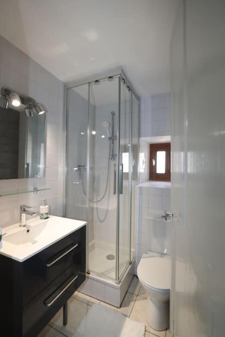 « Grand Verger » - Parking Gratuit Apartment Chambery Exterior photo